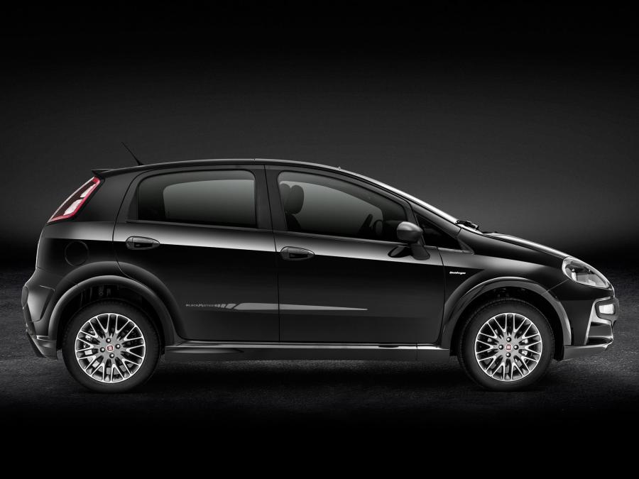 Fiat Punto BlackMotion 2013 года  (фото 10 из 13)